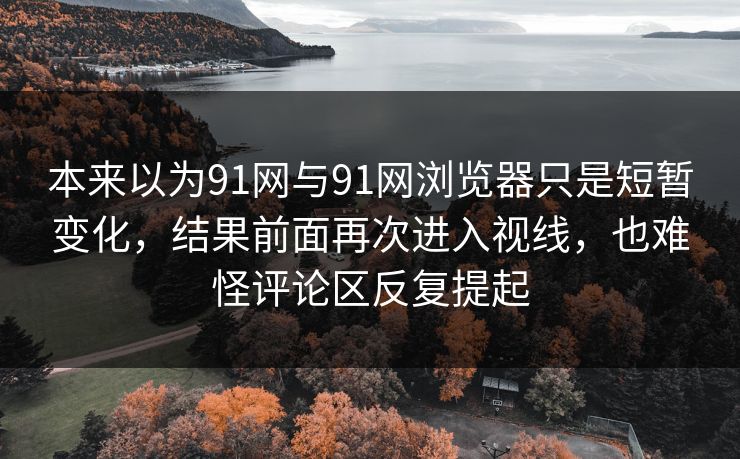 本来以为91网与91网浏览器只是短暂变化，结果前面再次进入视线，也难怪评论区反复提起