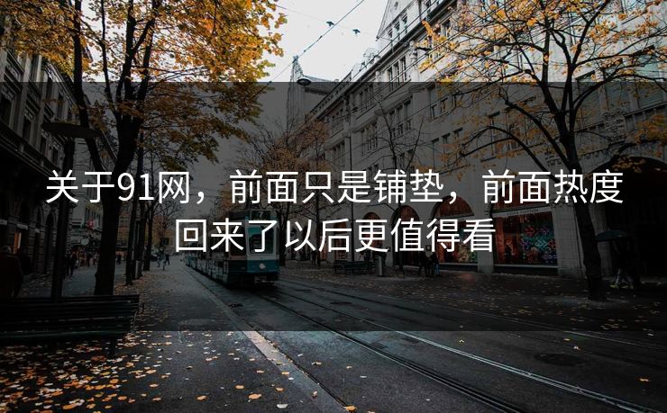 关于91网，前面只是铺垫，前面热度回来了以后更值得看