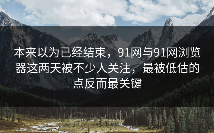 本来以为已经结束，91网与91网浏览器这两天被不少人关注，最被低估的点反而最关键